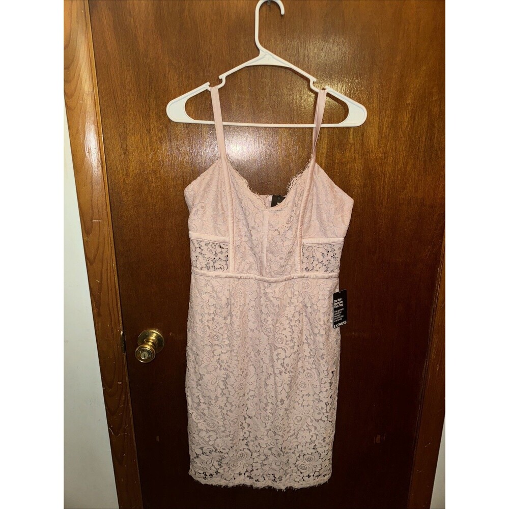 NWT Express Womens Pink Floral Lacey Formal Dress Size 10